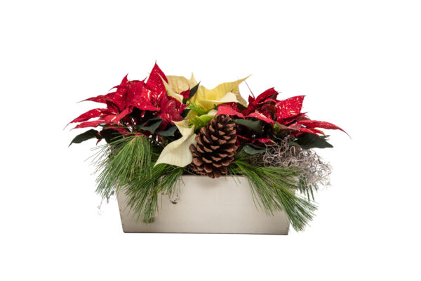 Poinsettia Wooden Box